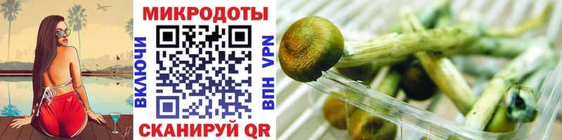 мега рабочий сайт  где найти наркотики  Нытва  Псилоцибиновые грибы мухоморы 